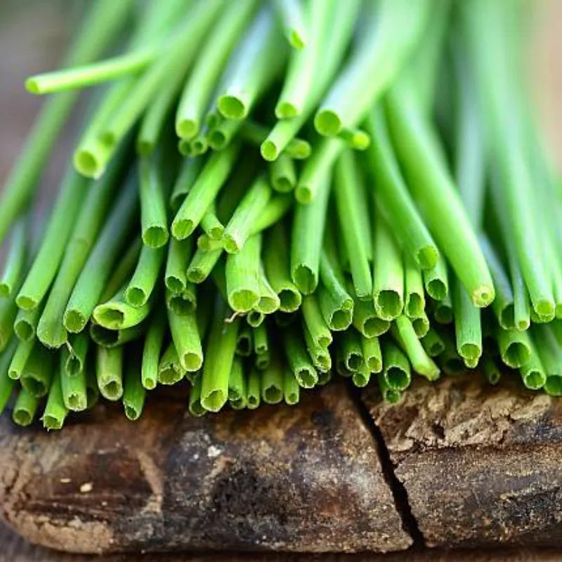 Ciboulette - 1 ramo - FreshMate