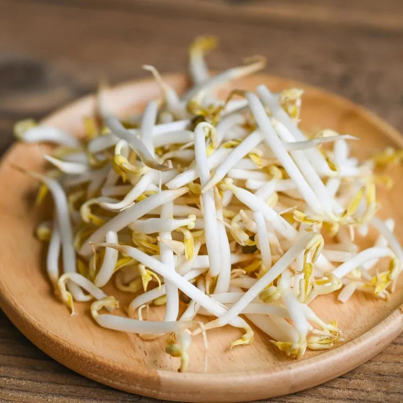 Diente de Dragón - 1 kg - FreshMate