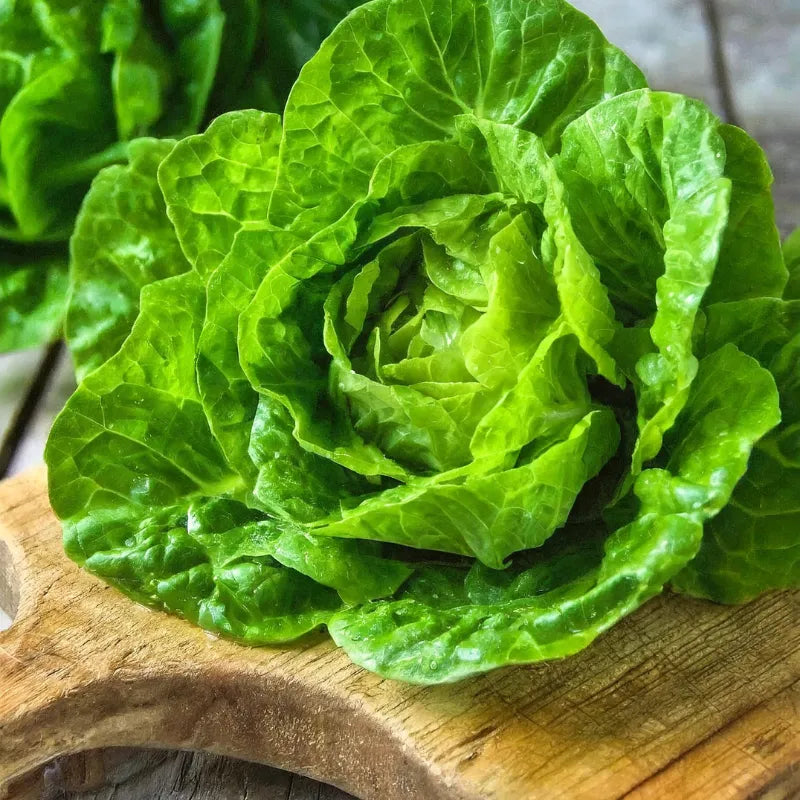 Lechuga Variedades - 1 un. - FreshMate