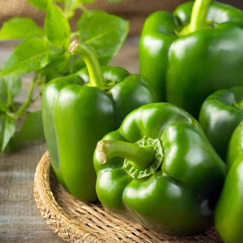 Pimentón Variedades - 1 un. - FreshMate