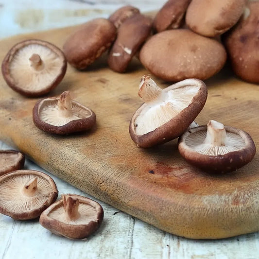 Champiñón Shiitake - 100 grs