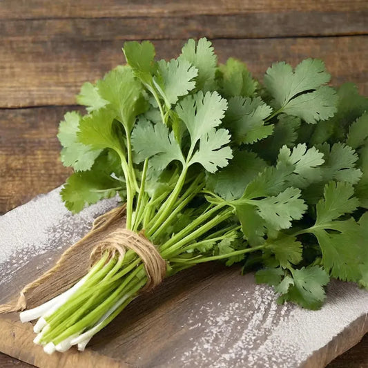 Cilantro - 150 grs