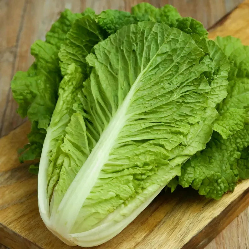 Lechuga Variedades - 1 un. - FreshMate