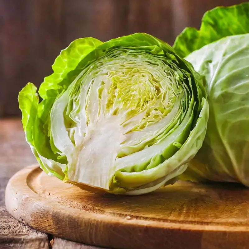 Repollo Fresco - Nutritivo y Saludable | Compra en FreshMate Chile